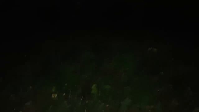 НАСЛАТЬ ЛЕШЕГО НА ВРАГОВ