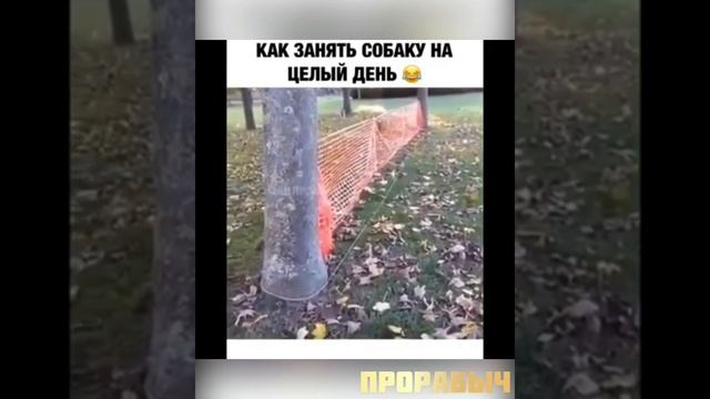 Доза Смеха ВЗРОСЛЫЙ ЮМОР 2021 СМЕХ ДО СЛЁЗ ЛУЧШИЕ ПРИКОЛЫ l Best Coub 2021 смотреть онлайн