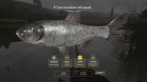 Русская рыбалка 4 трофейный Толстолобик пестрый на реке Сура