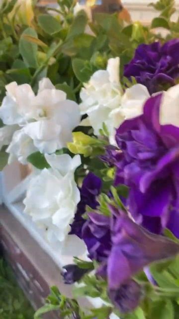 #балконныйящик #контейнерноеозеленение #диана смотреть онлайн