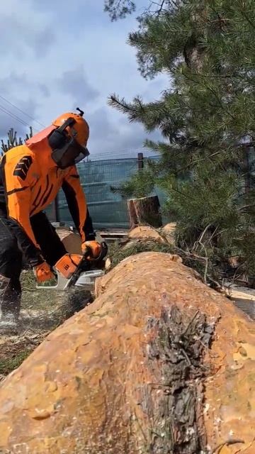 STIHL MS500i 18" 45см 5kw #logging #stihl #chainsaw #loggers смотреть онлайн