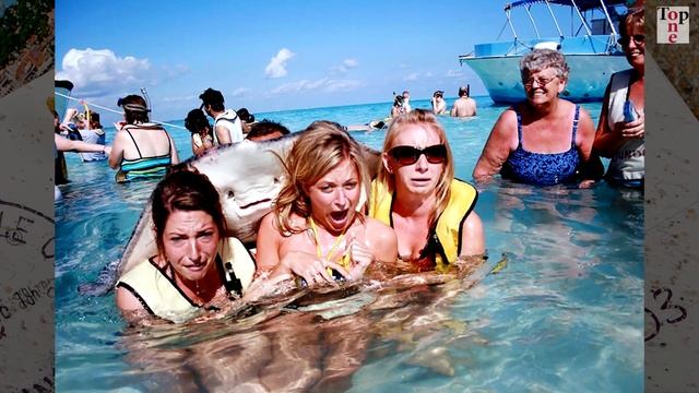 Приколы со всего мира. Девушки жгут по полной смотреть онлайн