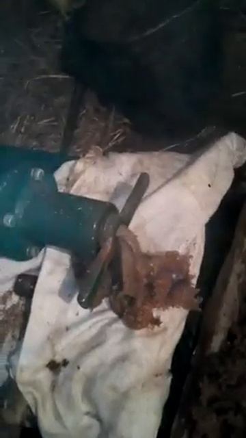 Экструдер кормовой ЭК5 Переработка пивной дробины смотреть онлайн