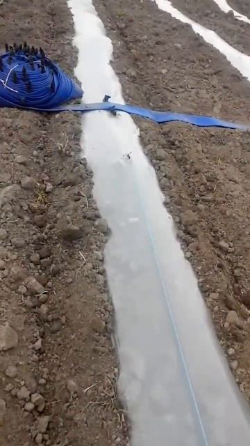 капельный полив, капельная система смотреть онлайн