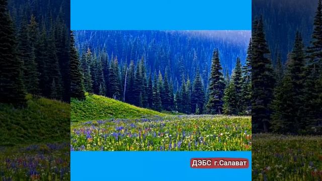 Ко дню России. смотреть онлайн