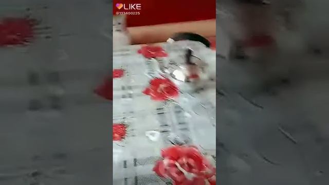 Кот хочет словить муху но нельзя на стол,,😂😂😂😁🥰🥰😍😘 смотреть онлайн