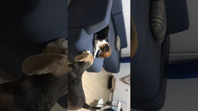 А ну ка отними!