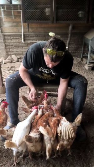 ПОЧЕМУ ГРЕЧКА РАБОТАЕТ ТОЛЬКО С КУРИЦЕЙ?