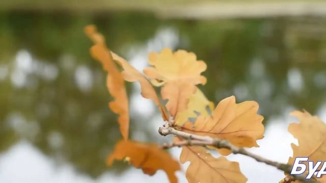 Хорошего Настроения в Любую Погоду. смотреть онлайн