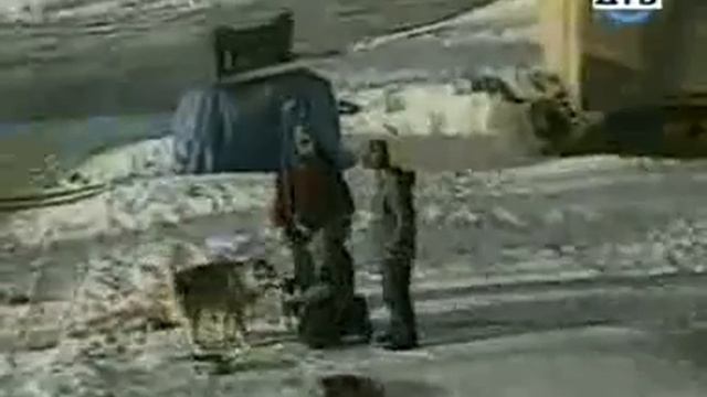 Шутить самое смешное видео любительские приколы смотреть онлайн