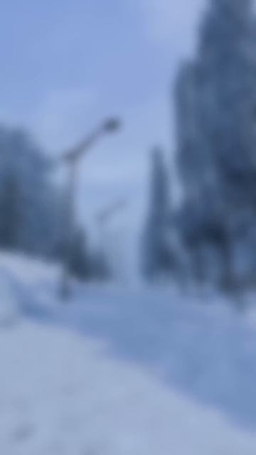 STALCRAFT X Рудименты l Таскаем паки ради... чего? Спот на севере приносит больше ресурсов! смотреть онлайн