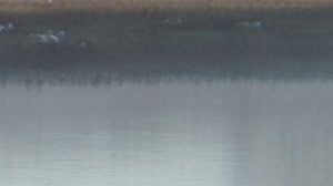 ОТКРЫТИЕ РЫБАЛКИ 2025 ГОД МАЙ