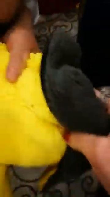 НОВЫЕ ПРОДУКТЫ ЛИНИИ AQUAMAGIC от компании GreenWay. Автополотенце LUXE двустороннее. смотреть онлайн