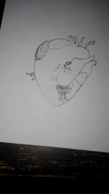 Мои рисунки черной ручкой смотреть онлайн