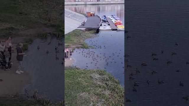 В каждом сердце есть живая рана... смотреть онлайн