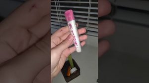 все мои ашки)