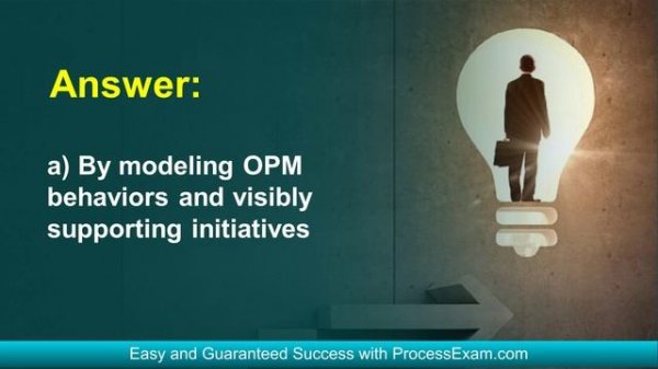 Power Up Your Study Plan for the PMI-PMOCP Certification Exam