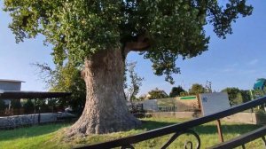 Поселок Головинка ✌Краснодарский край Обзор