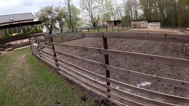 Волкодав взялся за старое и поймал его ! Опять потери ? ХУТОР В ЛЕСУ №679 смотреть онлайн