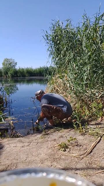 #волгодонск#дон#рыбалка#рыба#удочка#поплавок#сазан