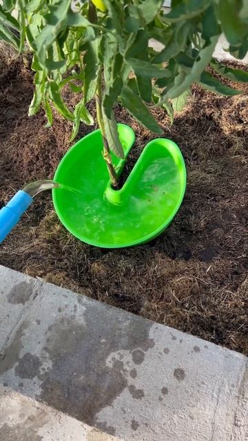 Автополив на четыре литра ,видео для объявления в авит