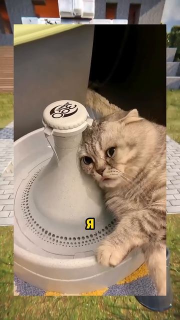 ВИРУСНЫЕ ВИДЕО / Стрижка 😱