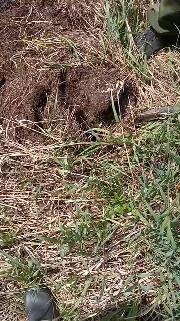 На новом месте классный металл. Поиски металлоискател смотреть онлайн