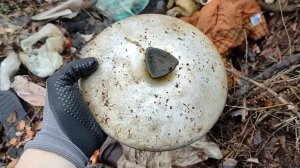 PLASTILIN. ПОИСК МЕДИ И МЕТАЛЛОЛОМА В ЛЕСУ НА СВАЛКЕ! ДОБЫВ?