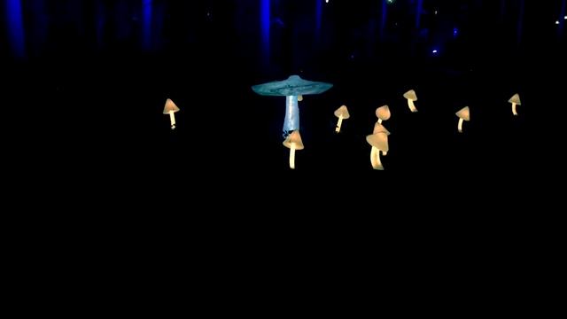 Exhibition ''Inspiration'' VDNKH Moscow 2017 / фестиваль искусств «Вдохновение»