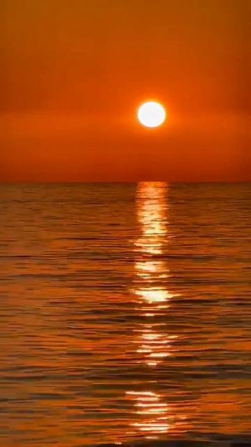 Самые надёжные инвестиции в мире! смотреть онлайн