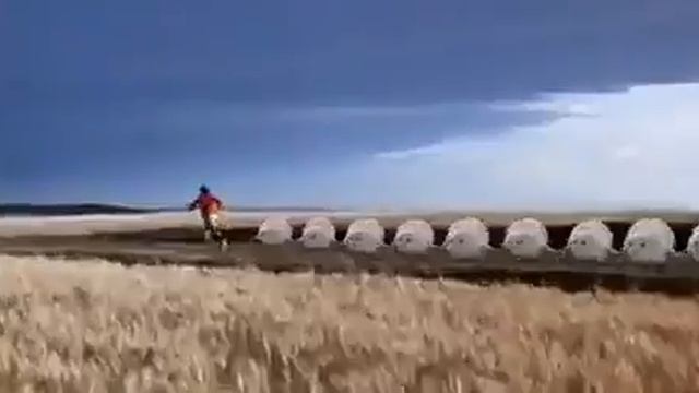 десант тюленей смотреть онлайн