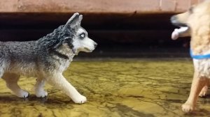 Приключения Гавки и Буси. 2 серия. Новые друзья и новые враги.