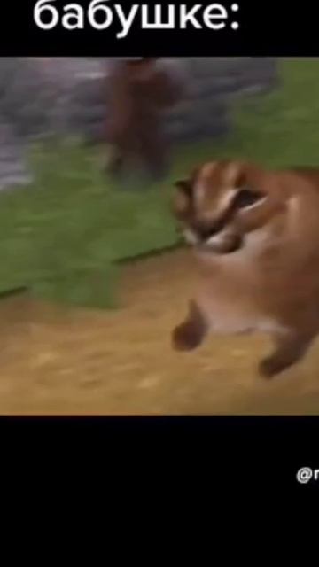 До средульки хватит, Шлёпа красивая женщина)) #шлёпапельмень #приколы #мемы #среда #шлепа смотреть онлайн