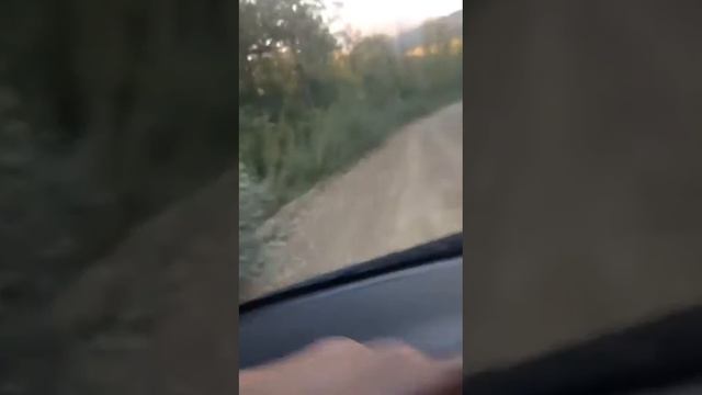 Прикол Яндекс навигатор завёл 😂 смотреть онлайн