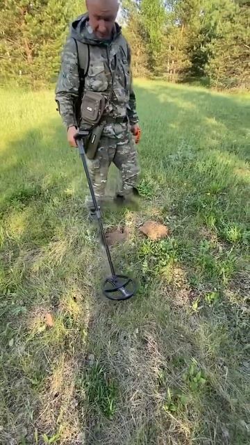 Нашли царское сокровище #находки #поискмонет #коп #мет?