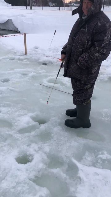 Первый улов после запуска. Платная рыбалка в Подмоско?