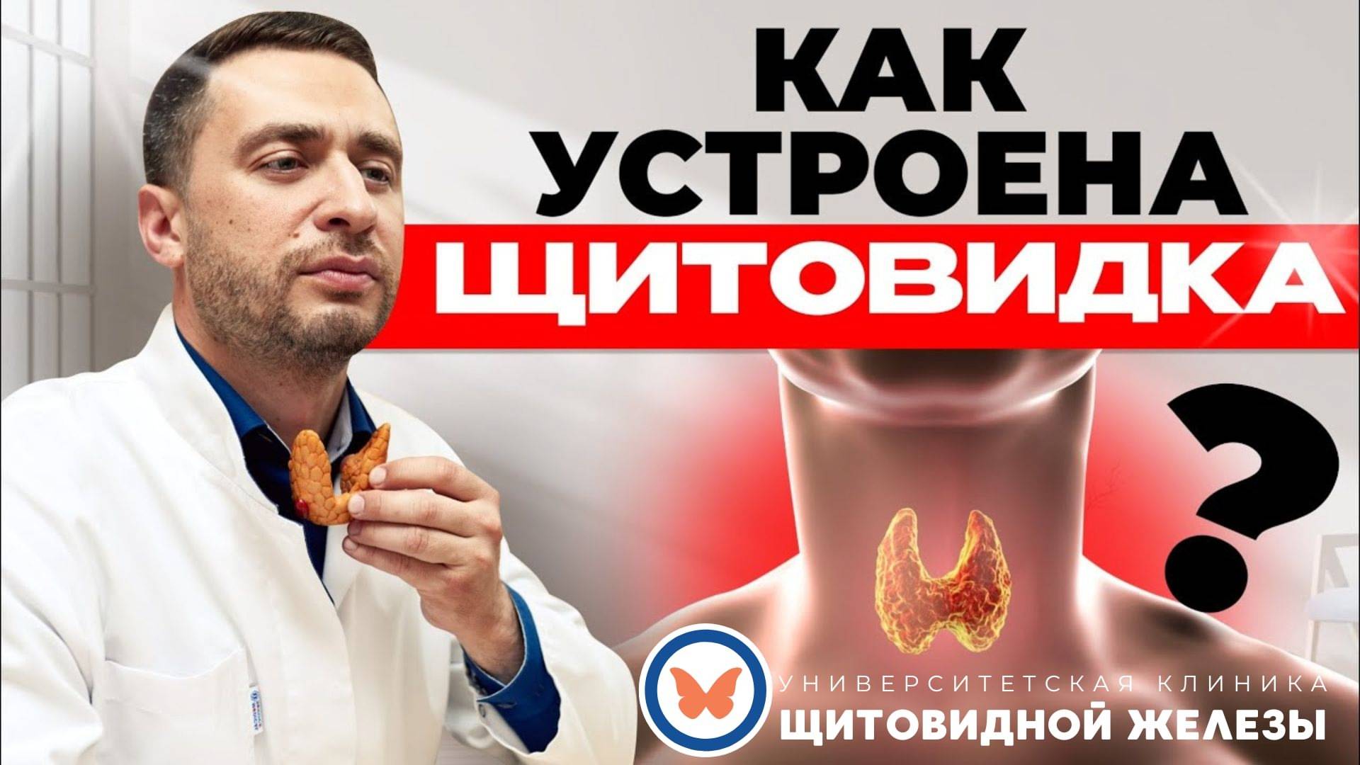 Как работает щитовидная железа и как сохранить её здоровье — советы эндокринолога с опытом 15 лет