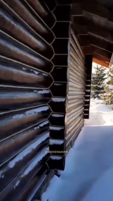 За две недели сруб проконопачен, всё удалось 💪⚒️ #ко?