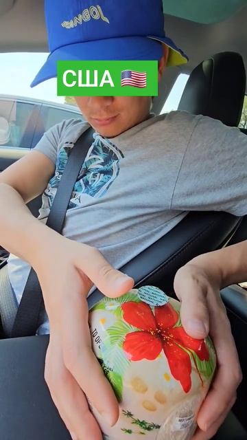 Люблю плоды этого кактуса #обзор 🌵 смотреть онлайн