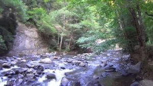 I.Z. лив: И СНОВА ДАчА, КАК Я ЕЗДИЛ В ГРУЗИЮ и ПРОЧЕЕ...