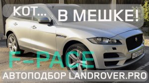 ⬛КОТ В МЕШКЕ ОТ 1 ХОЗЯИНА! | JAGUAR F-PACE 2.0D INGENIUM 180HP 91.000km 4K 60FPS