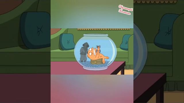 😻🧡 Американский папаша смешные моменты .Роджер опять орет и убивает .Клаус грустит. смотреть онлайн