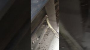 электро бензонасос на ЗИЛ 130