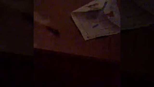 Как сделать воздушного змея смотреть онлайн