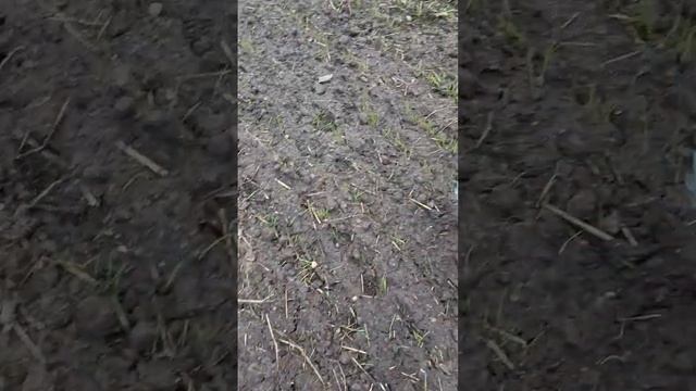 Эквинокс 700.Если нет снайперки....а очень нужно.