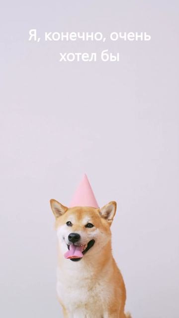 Устал 😩 #shorts #dog #собака #приколы #юмор смотреть онлайн