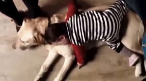 ПРИКОЛЫ С ДЕТЬМИ⭐ Смешные дети ⭐Видео для детей ⭐   Funny kids Funny Kids Videos