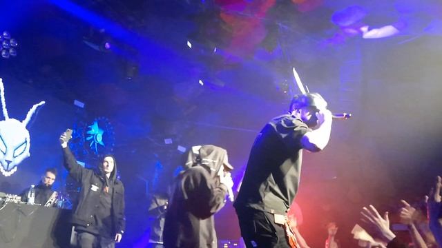 XIII - Сойти с ума