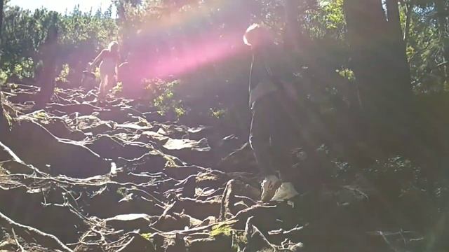 Наше сходження на гору Хом'як .Карпати.