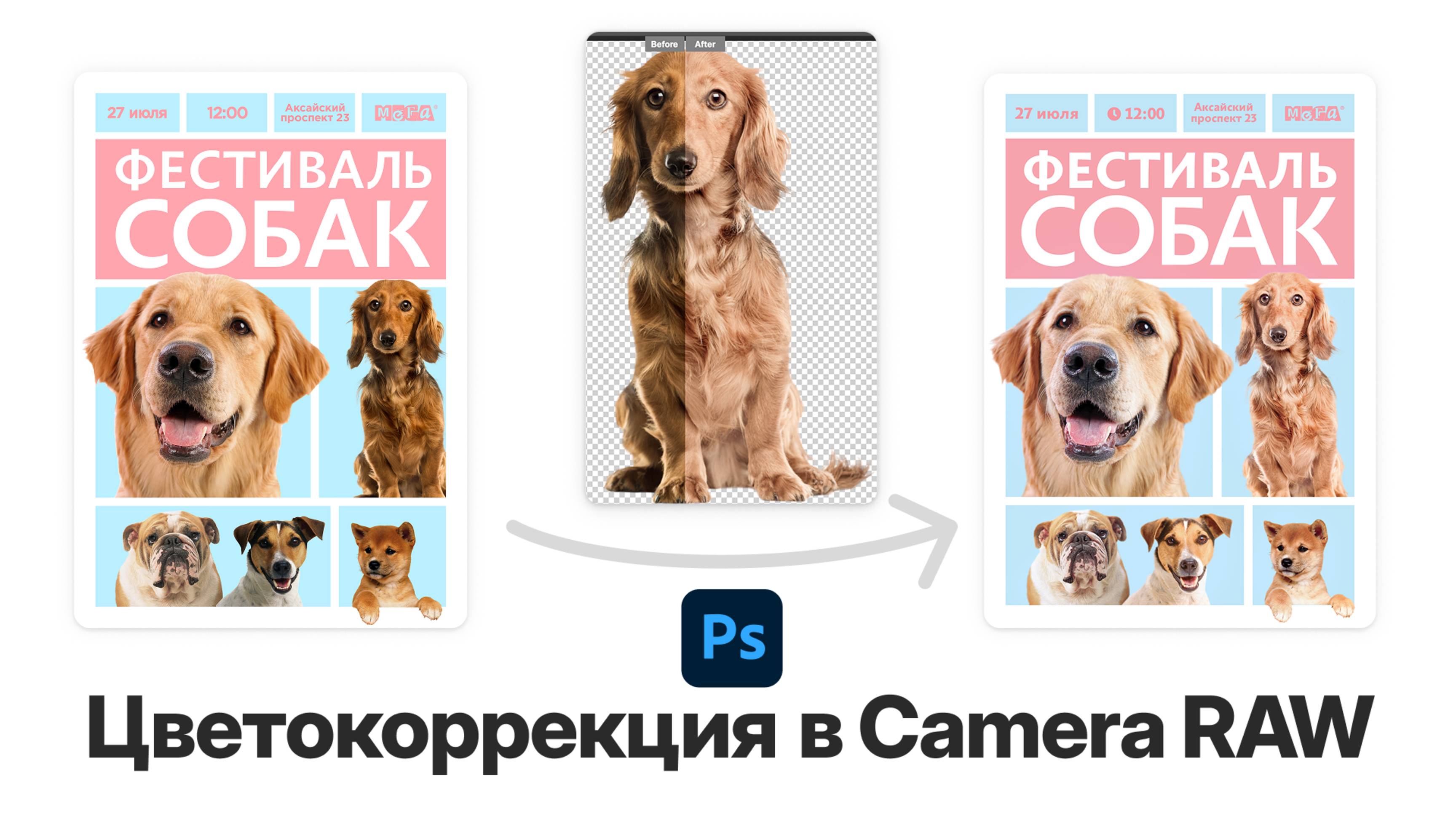 Цветокоррекция в Camera Raw